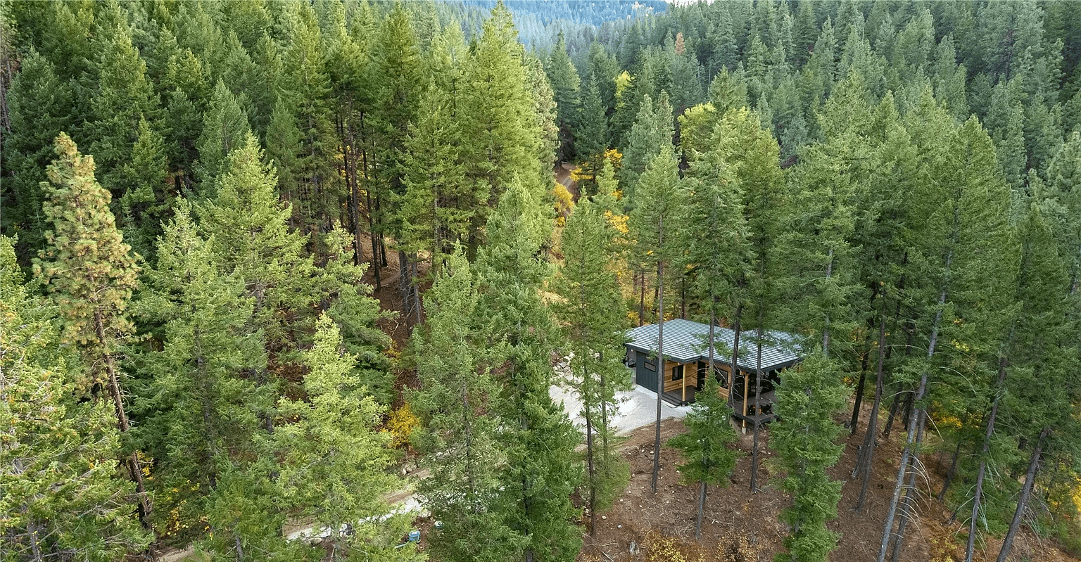 New construction home in a forested area